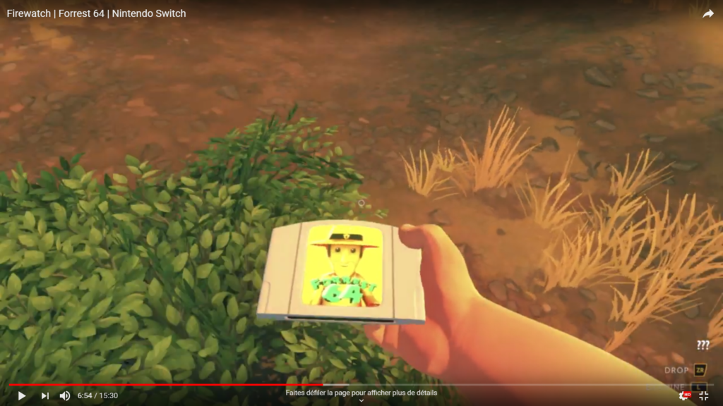 Easter egg cartouche Nintendo 64 Switch